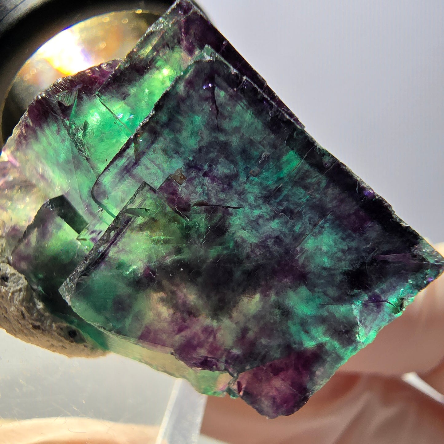 Spécimen de cube de fluorite fantôme, parqueté vert violet Okorusu, Namibie 28*24*22 mm