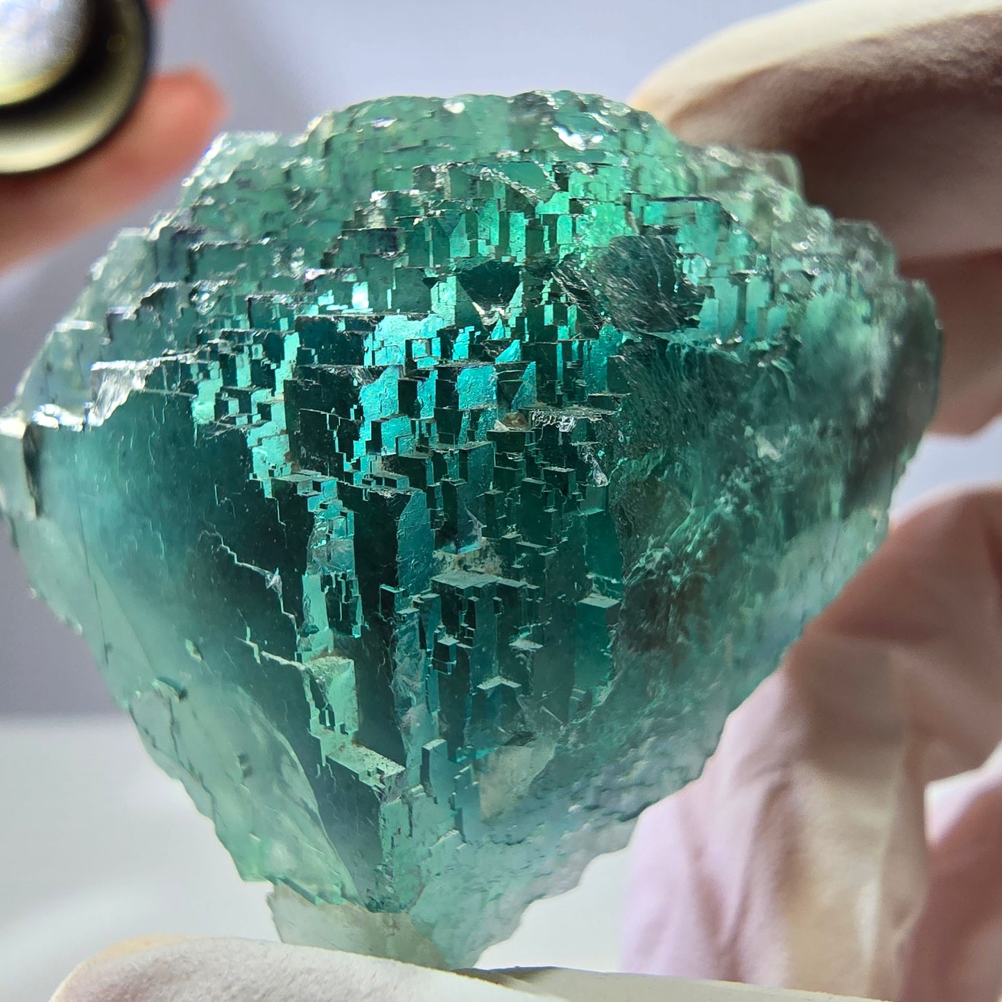 Spécimen de cube de fluorite fantôme transparente, vert parqueté, Okorusu, Namibie, 47 x 40 x 22 mm