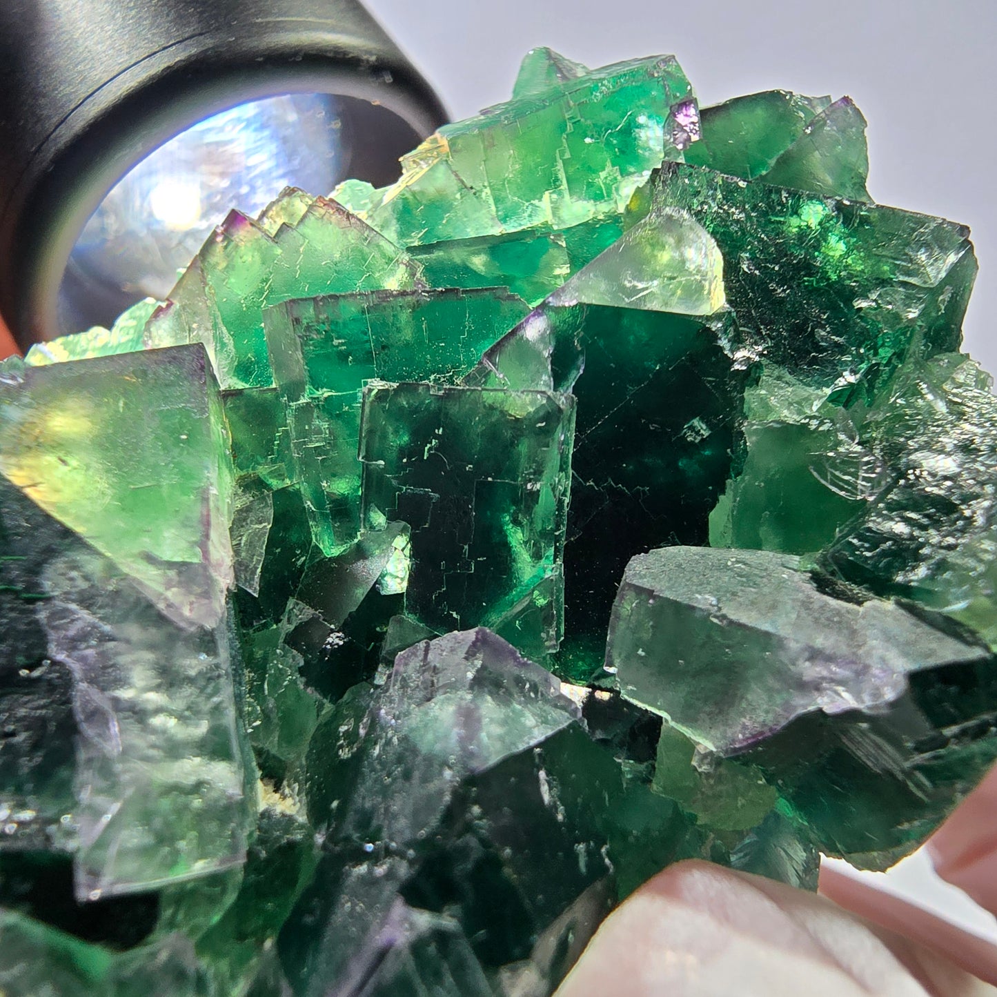 Spécimen de cube de fluorite fantôme parqueté vert violet Okorusu, Namibie 62*44*26mm