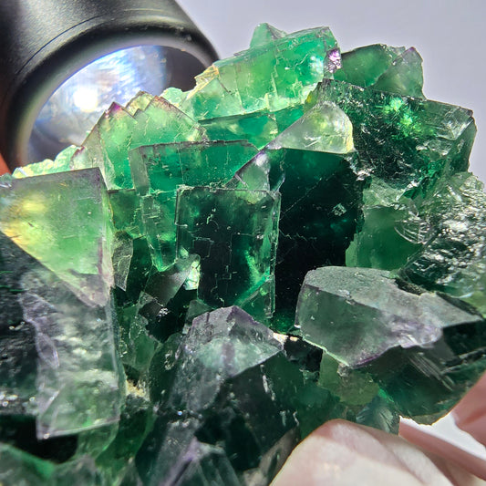 Phantom Fluorit Würfel Stufe parkettiert grün lila Okorusu, Namibia 62*44*26mm