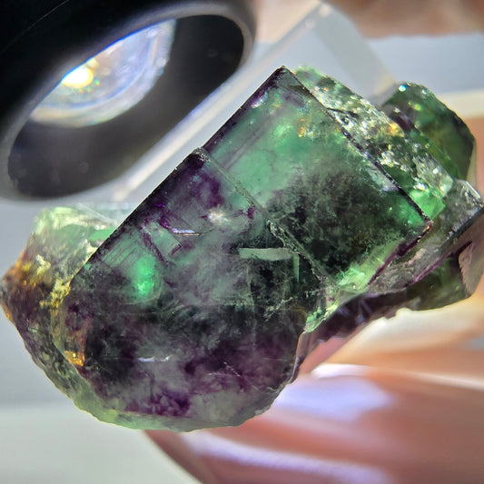 Seltene Fluorit Würfel Stufe, grün lila Okorusu, Namibia 42*24*21mm