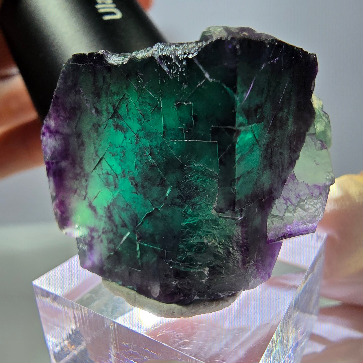 Rare cube de fluorite fantôme parqueté vert violet Okorusu Namibie 41*31*24mm