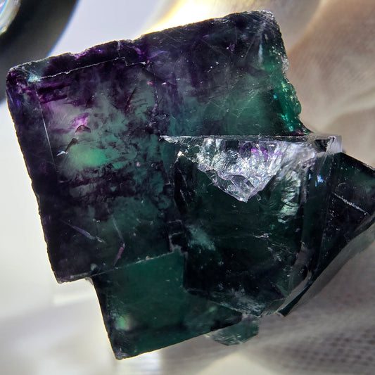 Spécimen rare de cube de fluorite fantôme, vert zonal et violet, Okorusu, Namibie, 37 x 37 x 29 mm