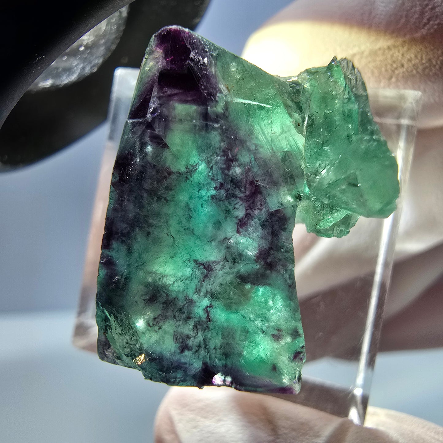 Spécimen de cube de fluorite fantôme, parqueté vert violet Okorusu, Namibie 21*18*16 mm