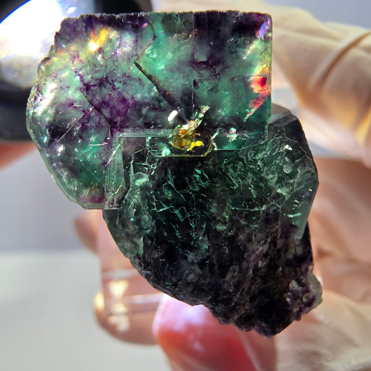 Phantom Fluorit Würfel Stufe, parkettiert grün lila Okorusu, Namibia 27*26*22mm