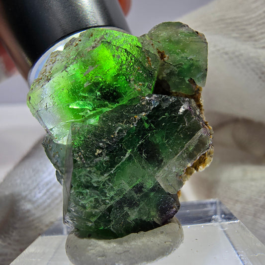 Cube de fluorite fantôme zonal, tourmaline muscovite Schorl Erongo Namibie 26 x 23 x 15 mm