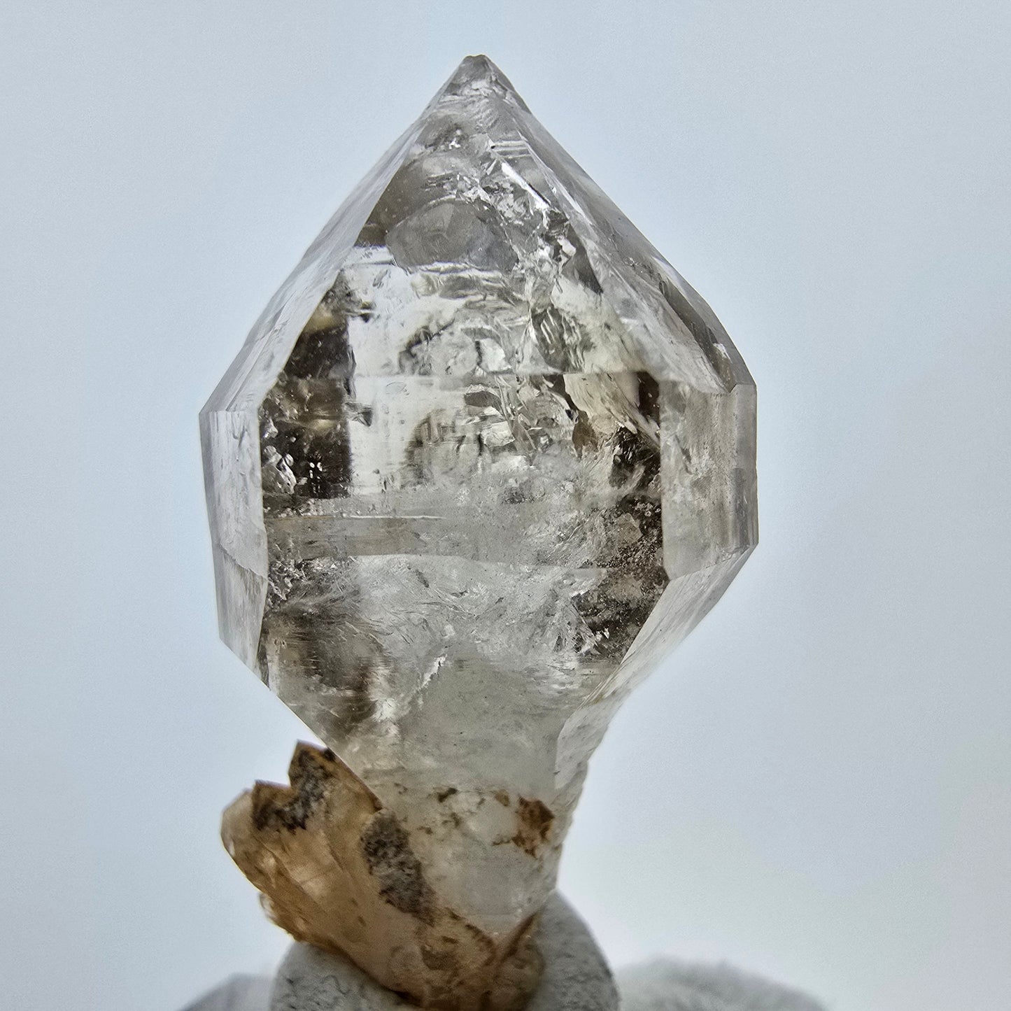 Enhydro Phantom Rauchquarz Zepter, 1x Blase Goboboseb, Namibia 47*20*19mm