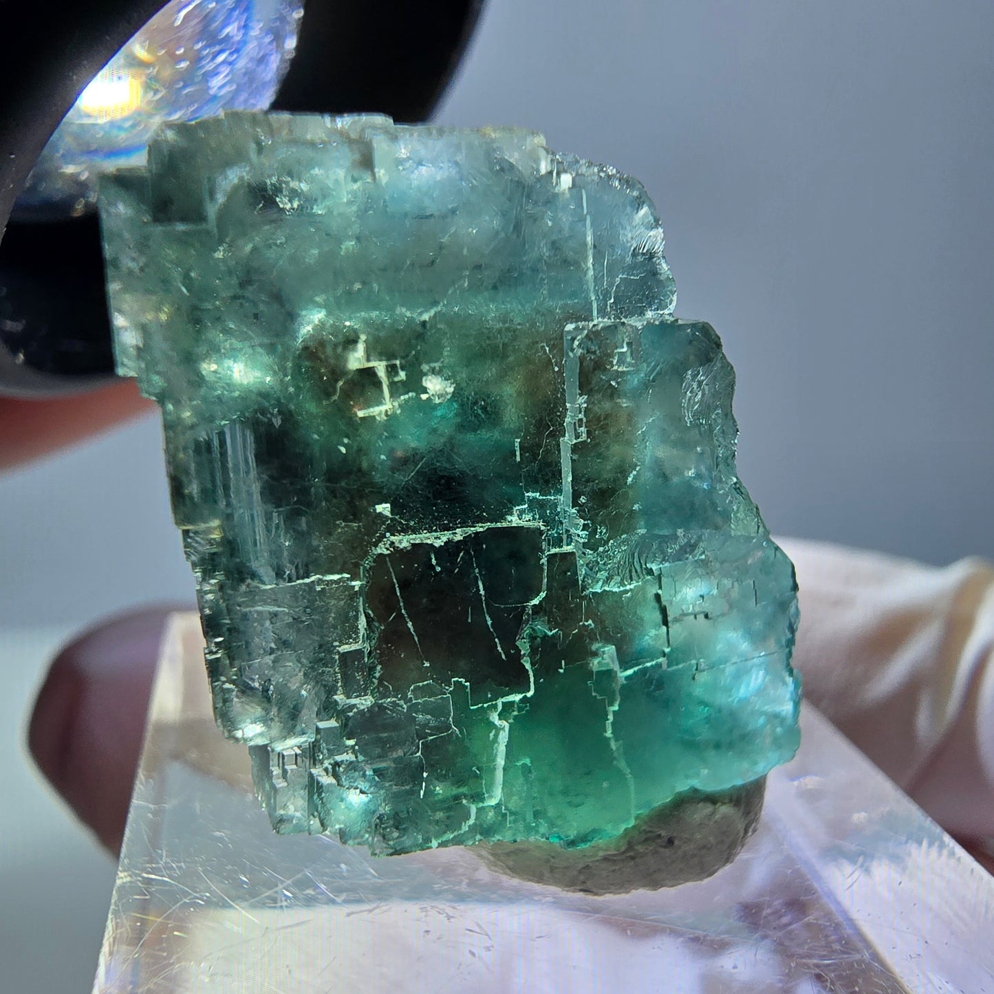Phantom Fluorit Würfel Stufe, grün parkettiert Okorusu, Namibia 21*20*17mm