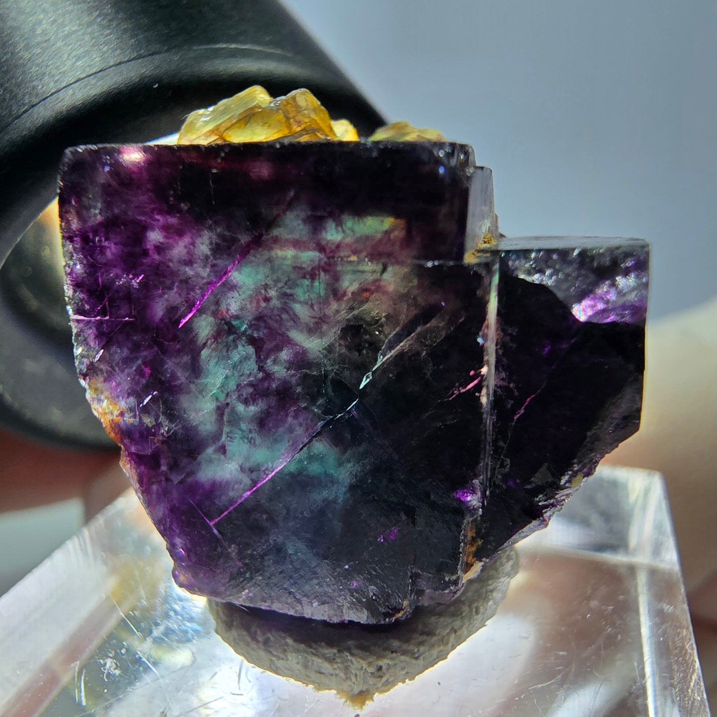 Spécimen de cube de fluorite fantôme, parqueté vert violet Okorusu, Namibie 22*20*17 mm