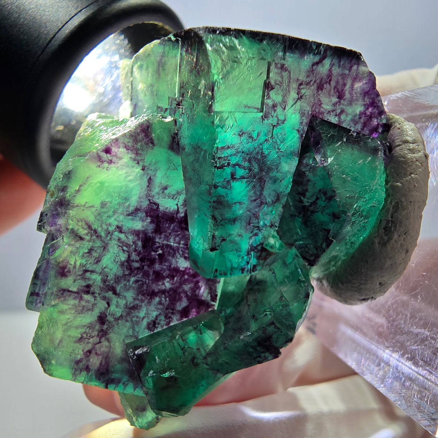 Spécimen de cube de fluorite fantôme, parqueté vert violet Okorusu, Namibie 40*31*20 mm