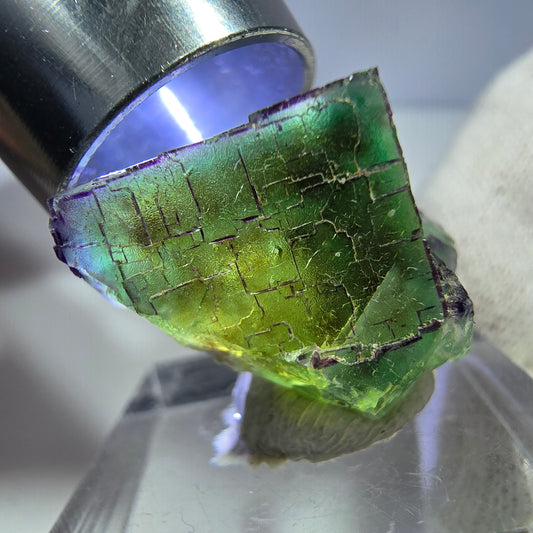 Rare cube de fluorite fantôme, zonal, parqueté, Okorusu, Namibie, 27 x 19 x 19 mm