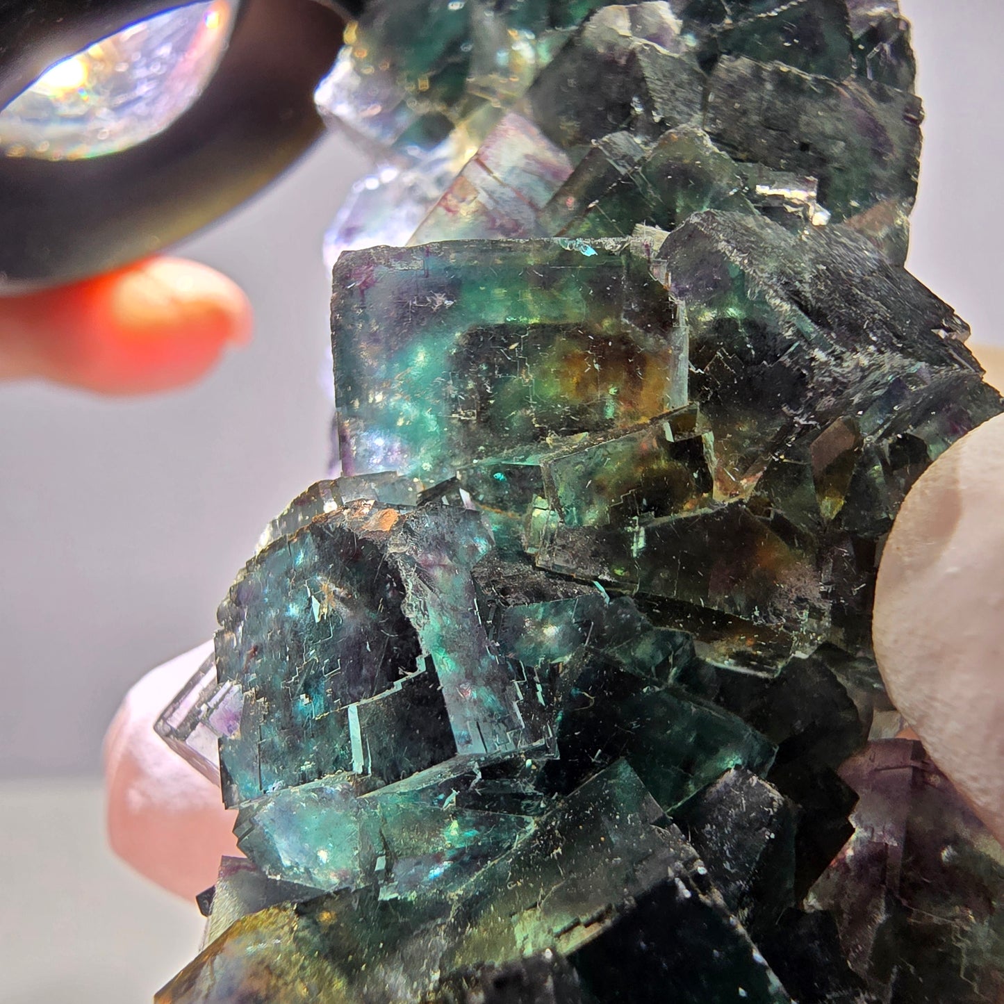 Spécimen de cube de fluorite fantôme, parqueté vert-brun Okorusu, Namibie 89 x 42 x 26 mm