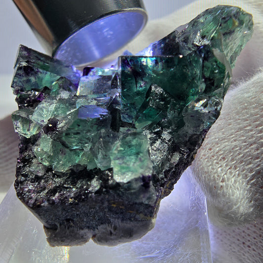 Spécimen rare de cube de fluorite fantôme, vert zonal et violet, Okorusu, Namibie, 38 x 32 x 13 mm
