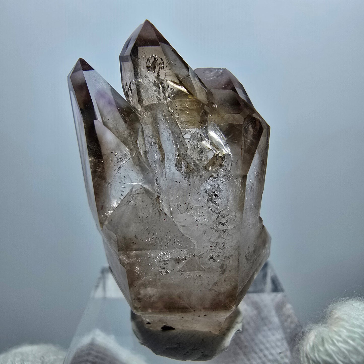Amas de sceptres en quartz fumé fantôme transparent, Goboboseb, Namibie, 35 x 20 x 17 mm