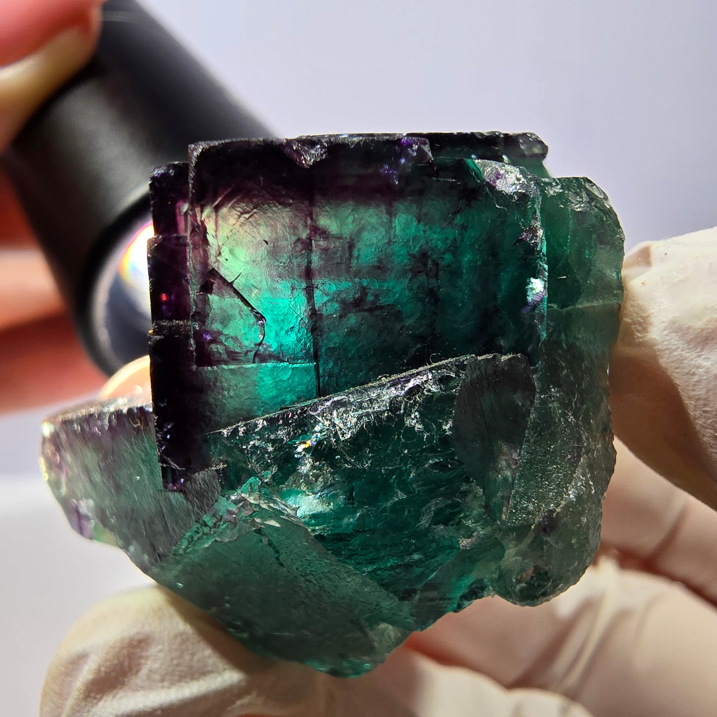 Spécimen de cube de fluorite fantôme, parqueté vert violet Okorusu, Namibie 41*41*25 mm