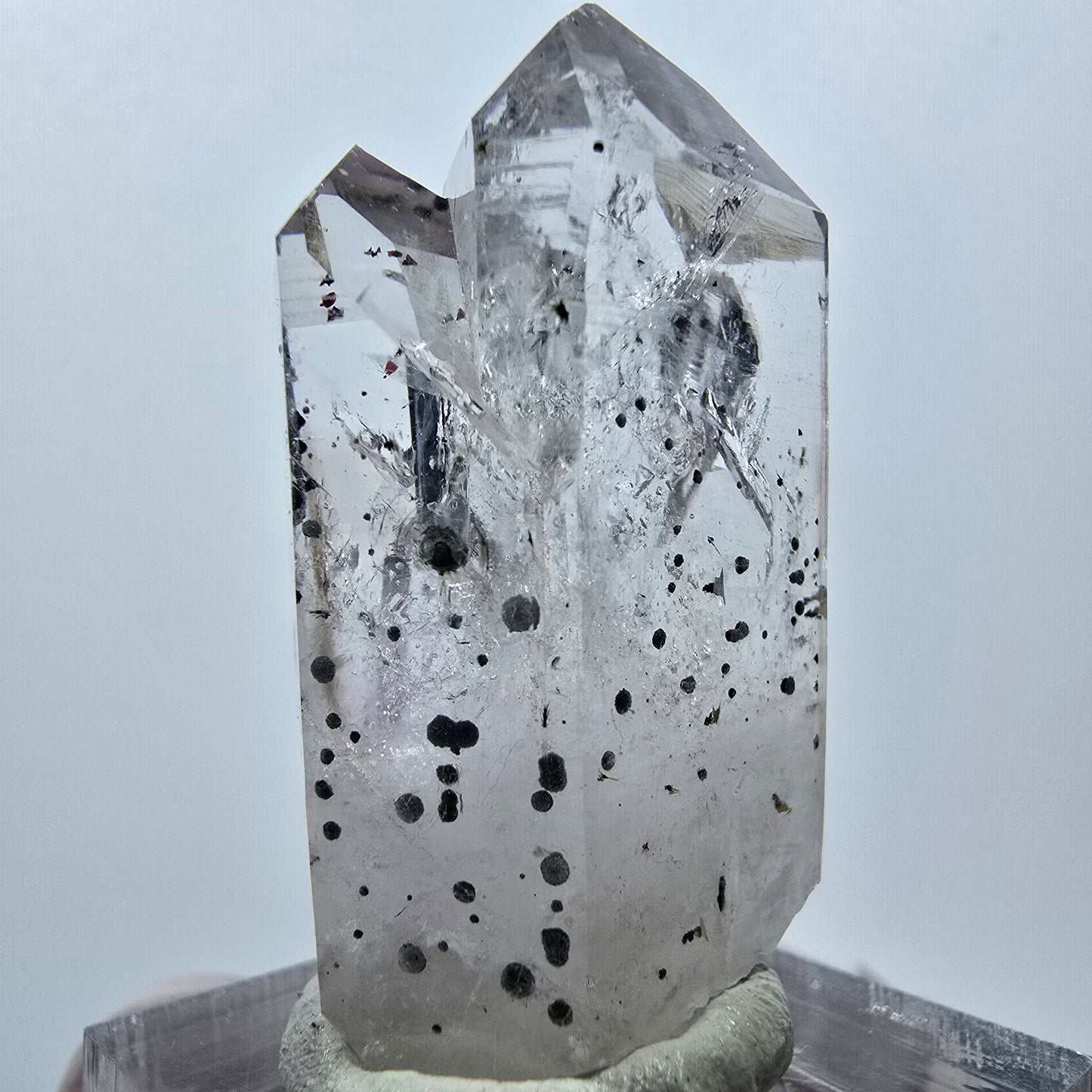 Quartz Harlequin, pointes d'hématite, mine Streep, Goboboseb, Namibie, 39 x 21 x 18 mm