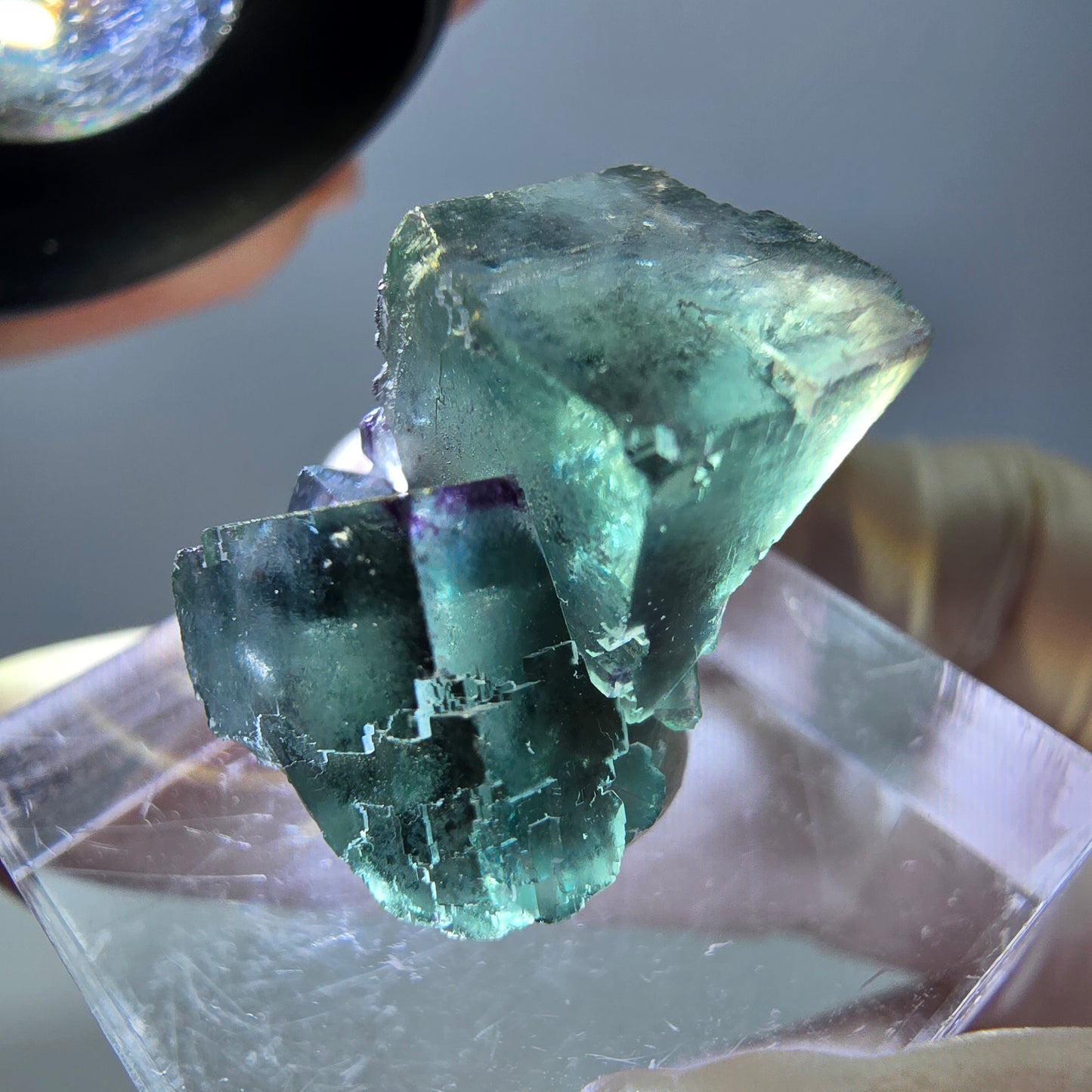 Phantom Fluorit Würfel Stufe, parkettiert, zonal Okorusu, Namibia 21*17*16mm