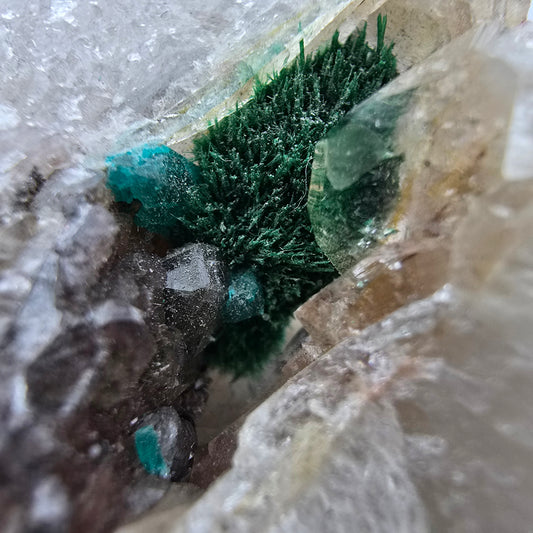 Seltene Malachit, Dioptas auf Quarz Stufe Kaokoveld, Namibia 70*50*23mm Sammlung