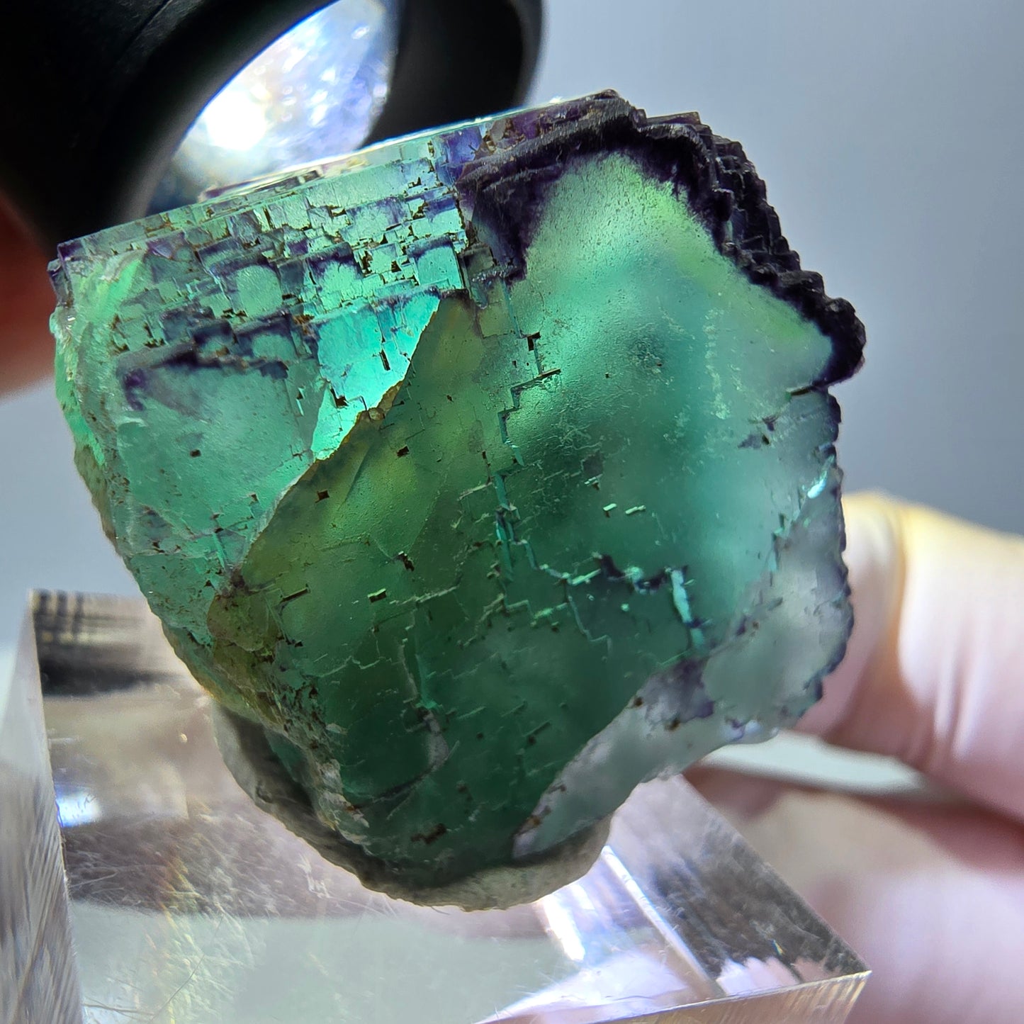 Phantom Fluorit Würfel Stufe, parkettiert, zonal Okorusu, Namibia 28*27*23mm