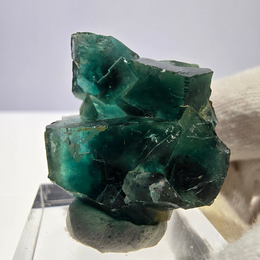 Cube de fluorite fantôme parqueté vert turquoise Okorusu Namibie 29*27*17mm