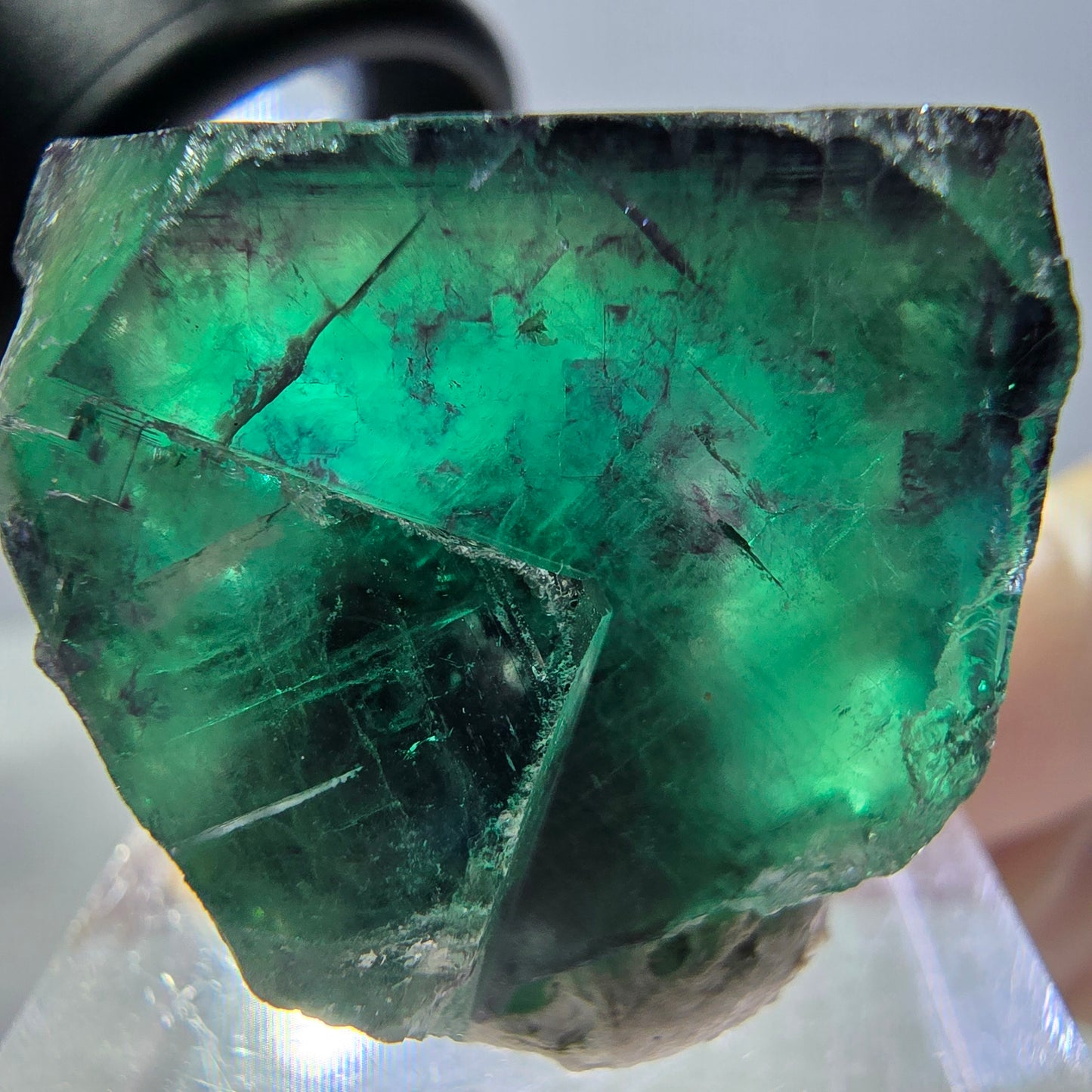 Phantom Fluorit Würfel Stufe, parkettiert grün lila Okorusu, Namibia 25*24*22mm