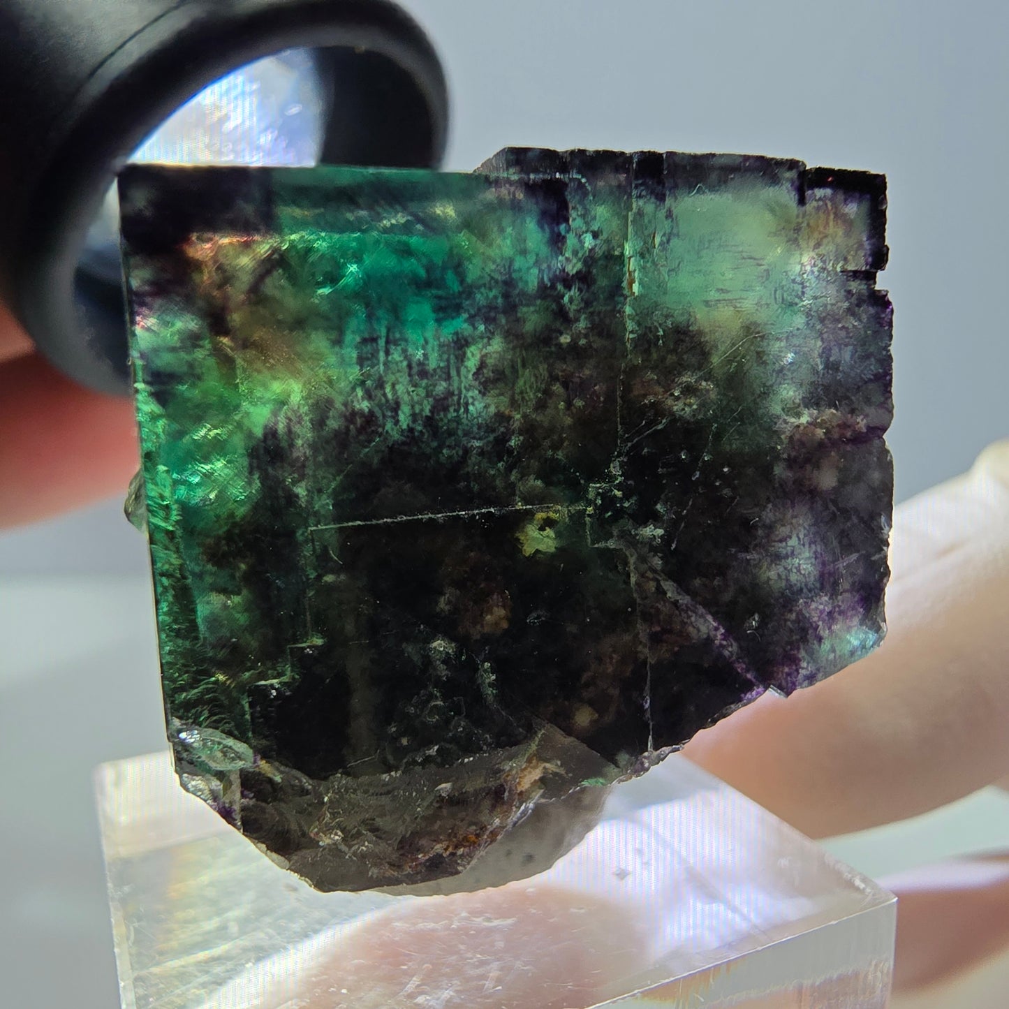 Phantom Fluorit Würfel Stufe, parkettiert grün lila Okorusu, Namibia 28*26*25mm