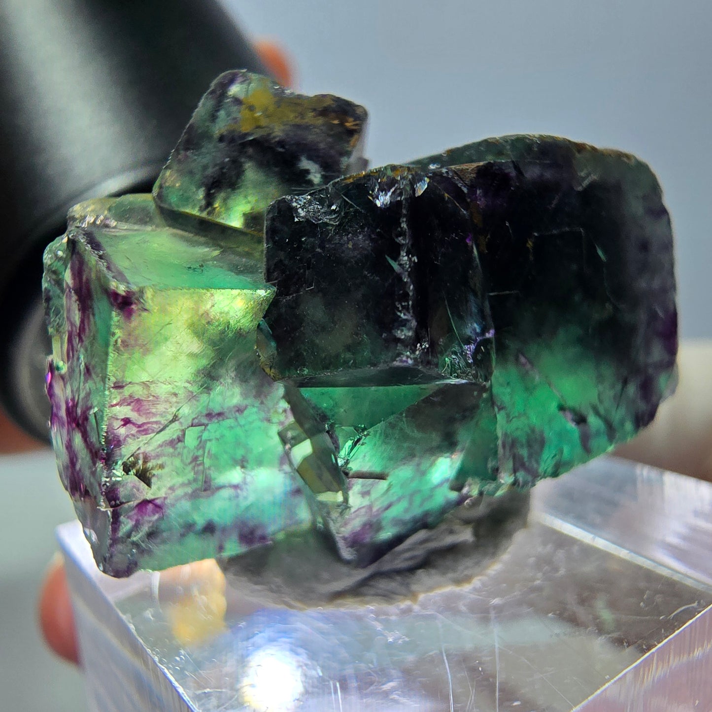 Seltene Fluorit Würfel Stufe, grün lila Okorusu, Namibia 29*22*19mm