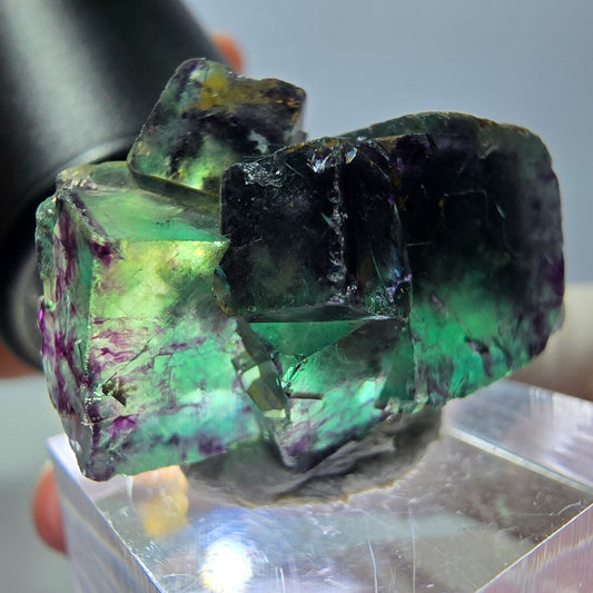 Seltene Fluorit Würfel Stufe, grün lila Okorusu, Namibia 29*22*19mm