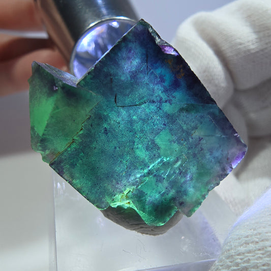 Spécimen rare de cube de fluorite fantôme, vert zonal et violet, Okorusu, Namibie, 31 x 27 x 17 mm