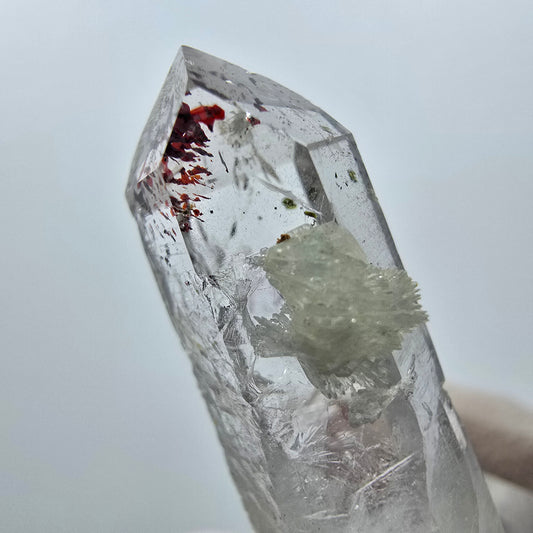 Quartz Harlequin avec préhnite Point Streep Mine, Goboboseb, Namibie 31 x 12 x 9 mm