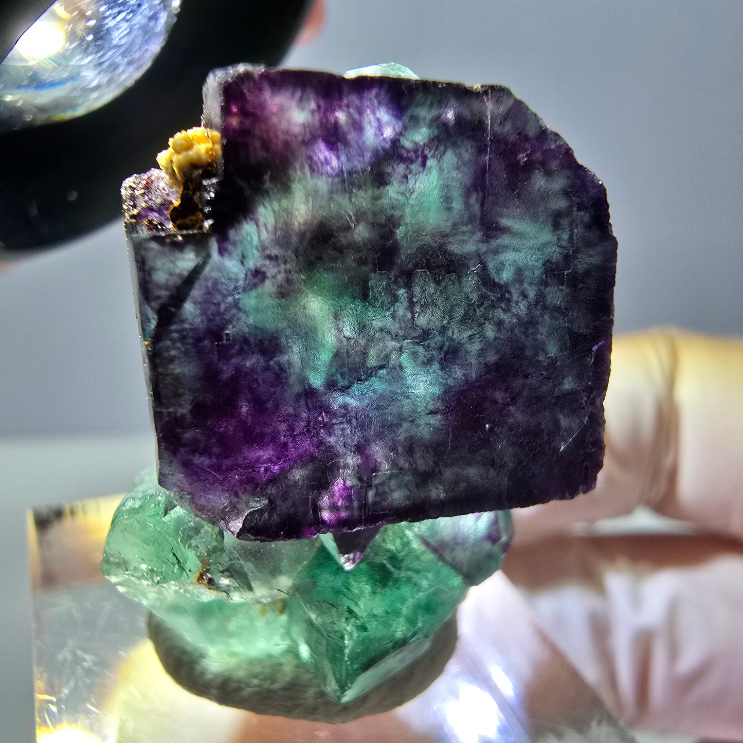 Phantom Fluorit Würfel Stufe, parkettiert grün lila Okorusu, Namibia 30*28*16mm