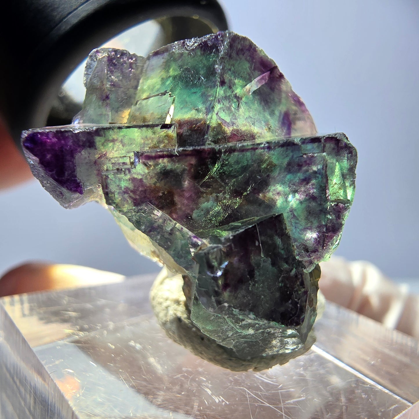 Spécimen de cube de fluorite fantôme, parqueté vert violet Okorusu, Namibie 28*21*15 mm