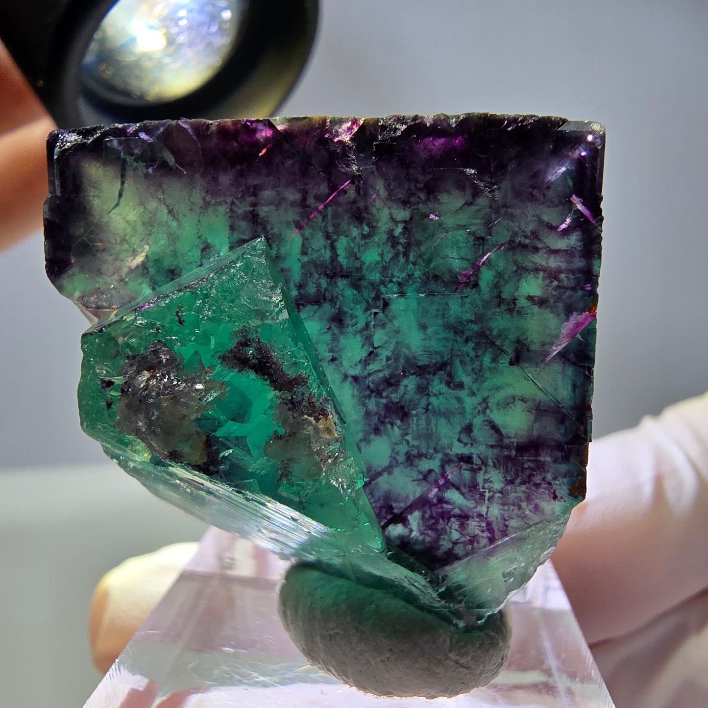 Rare cube de fluorite fantôme parqueté vert violet Okorusu Namibie 32*31*22mm