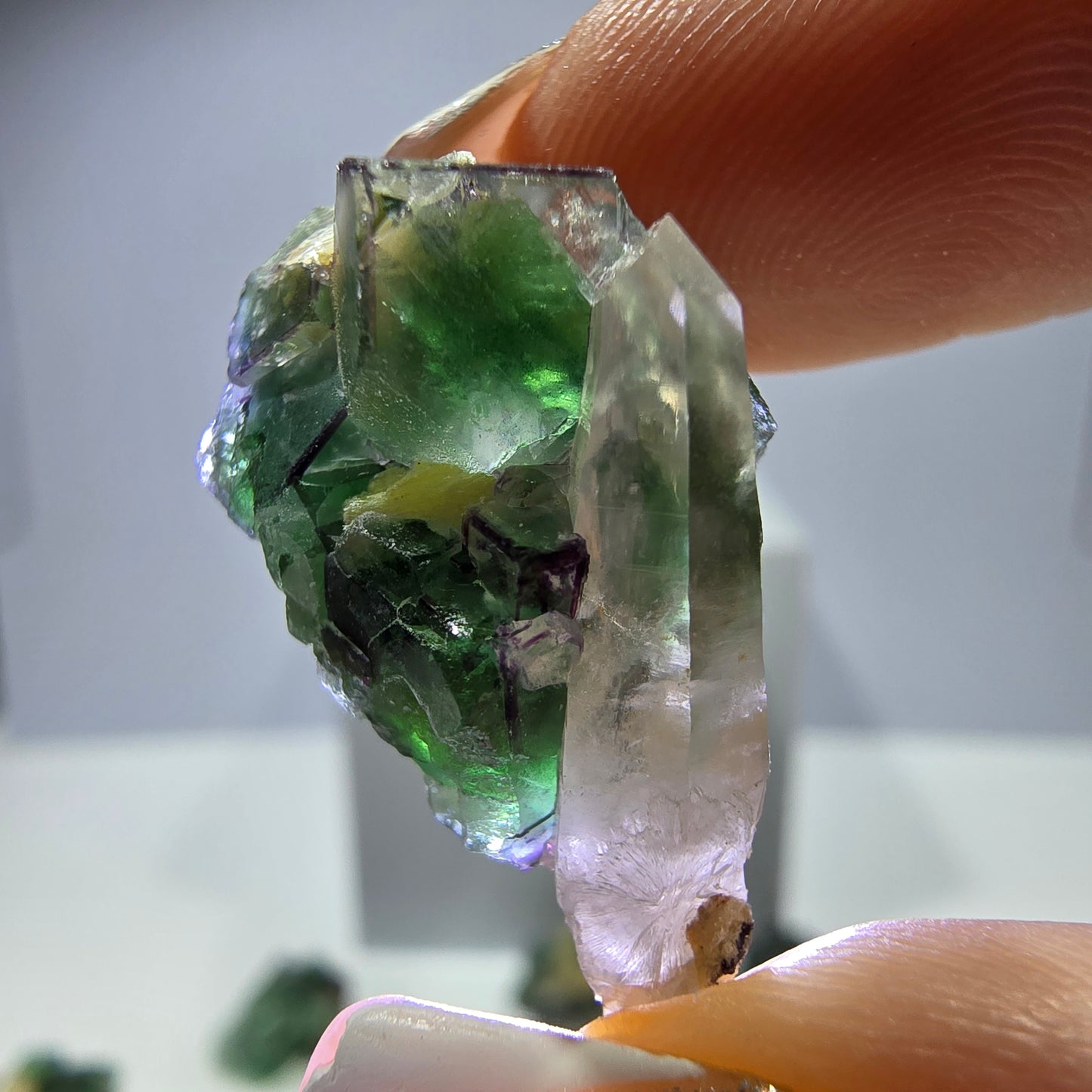 Lot de 16 fluorites fantômes, hyalites, tourmalines Schörl, muscovites, marches d'Erongo, Namibie