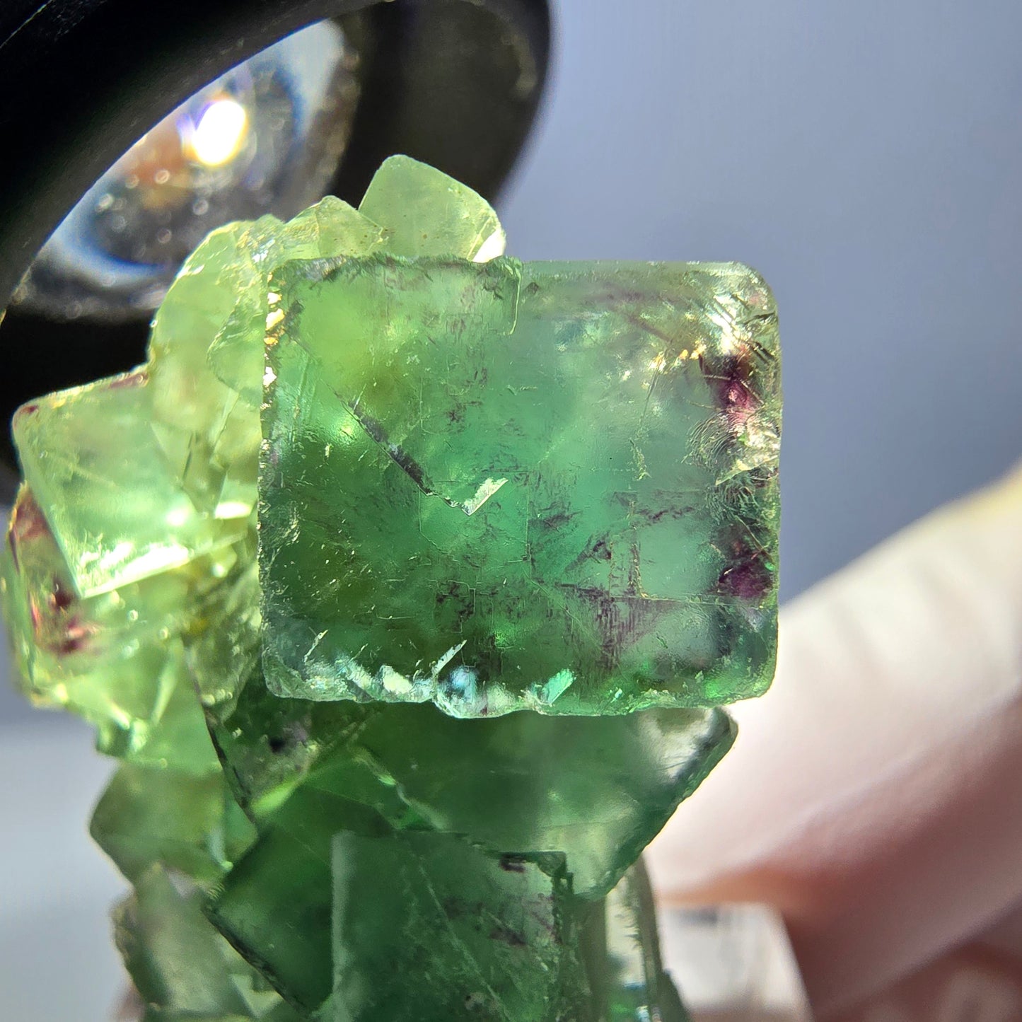 Spécimen de cube de fluorite fantôme, vert violet, Okorusu, Namibie, 34 x 27 x 13 mm