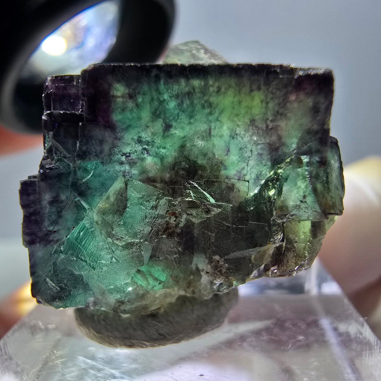 Phantom Fluorit Würfel Stufe, parkettiert, zonal Okorusu, Namibia 23*22*20mm