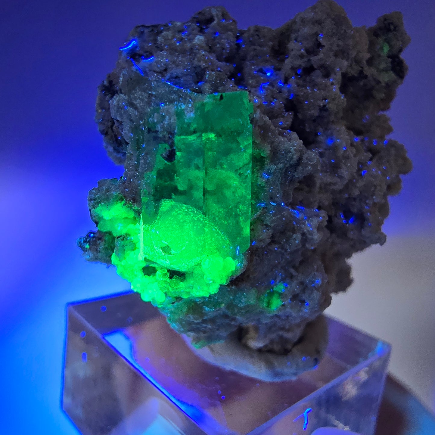 Seltene Aquamarin X mit Hyalit, Orthoklas Stufe Erongo, Namibia 39*38*28mm
