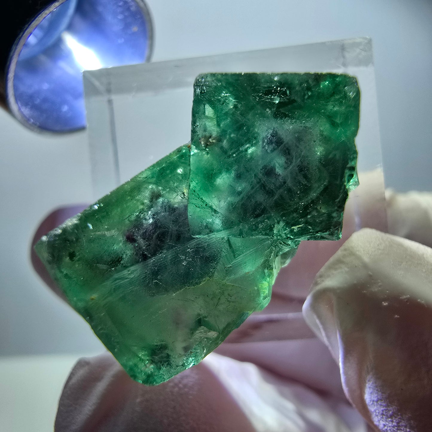 Spécimen rare de cube de fluorite, vert violet, Okorusu, Namibie, 25 x 16 x 14 mm