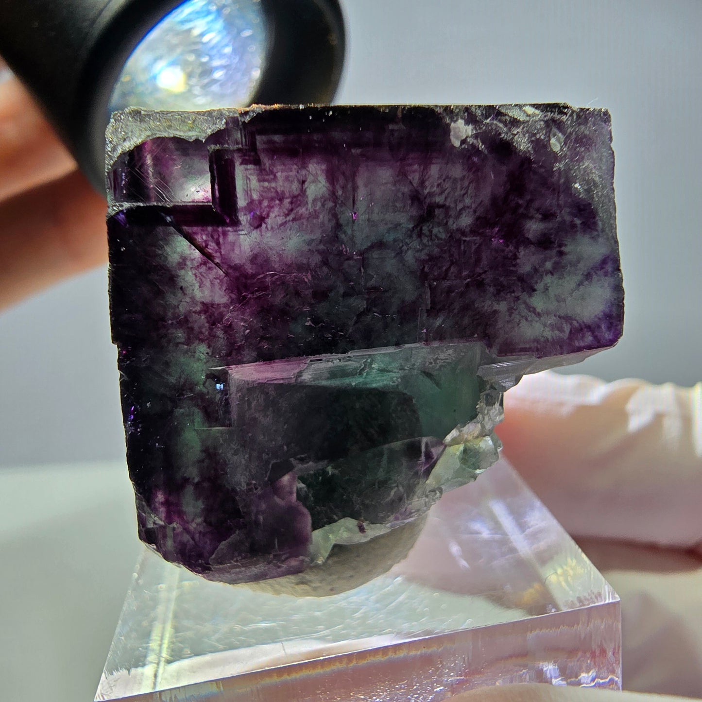Rare cube de fluorite fantôme parqueté vert violet Okorusu Namibie 29*27*27mm