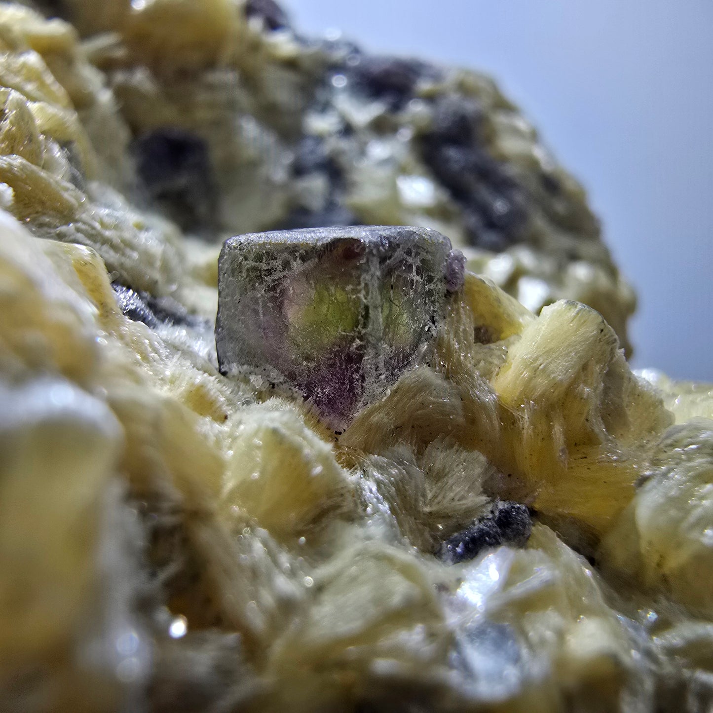 Cubes de fluorite fantôme colorés, spécimen de muscovite, Erongo, Namibie, 79 x 62 x 25 mm