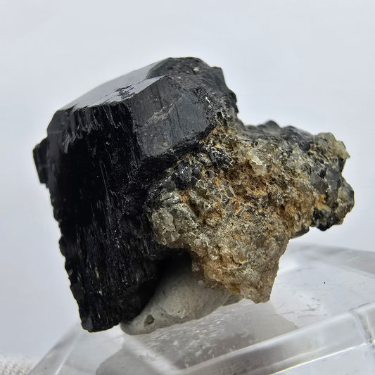 Seltener Schörl Turmalin Kristall Erongo, Namibia 28*26*20mm Sammlung