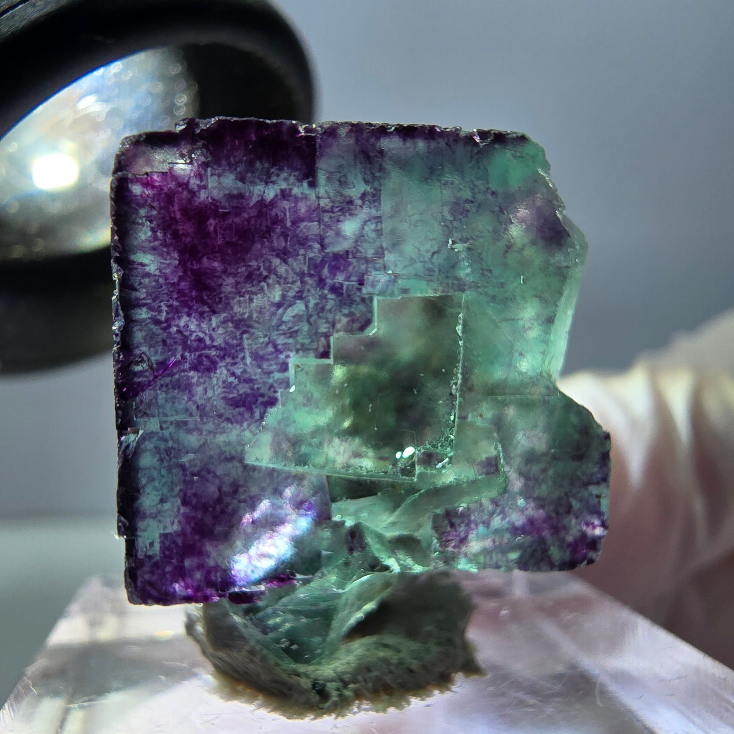 Spécimen de cube de fluorite fantôme, parqueté vert violet Okorusu, Namibie 22*20*11mm