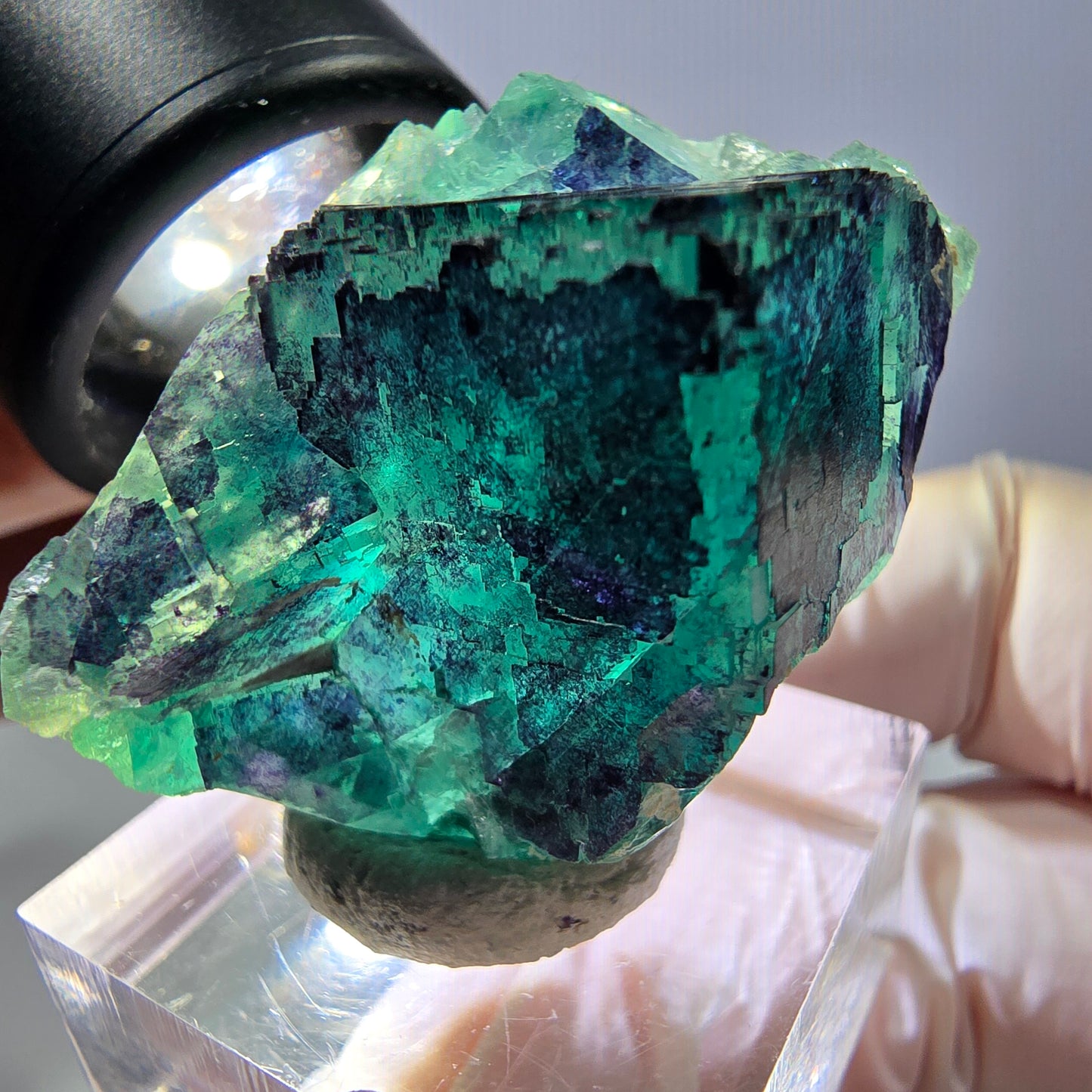Phantom Fluorit Würfel Stufe grün lila zonal 11:11 Angel Pocket, Namibia 35*28*22mm
