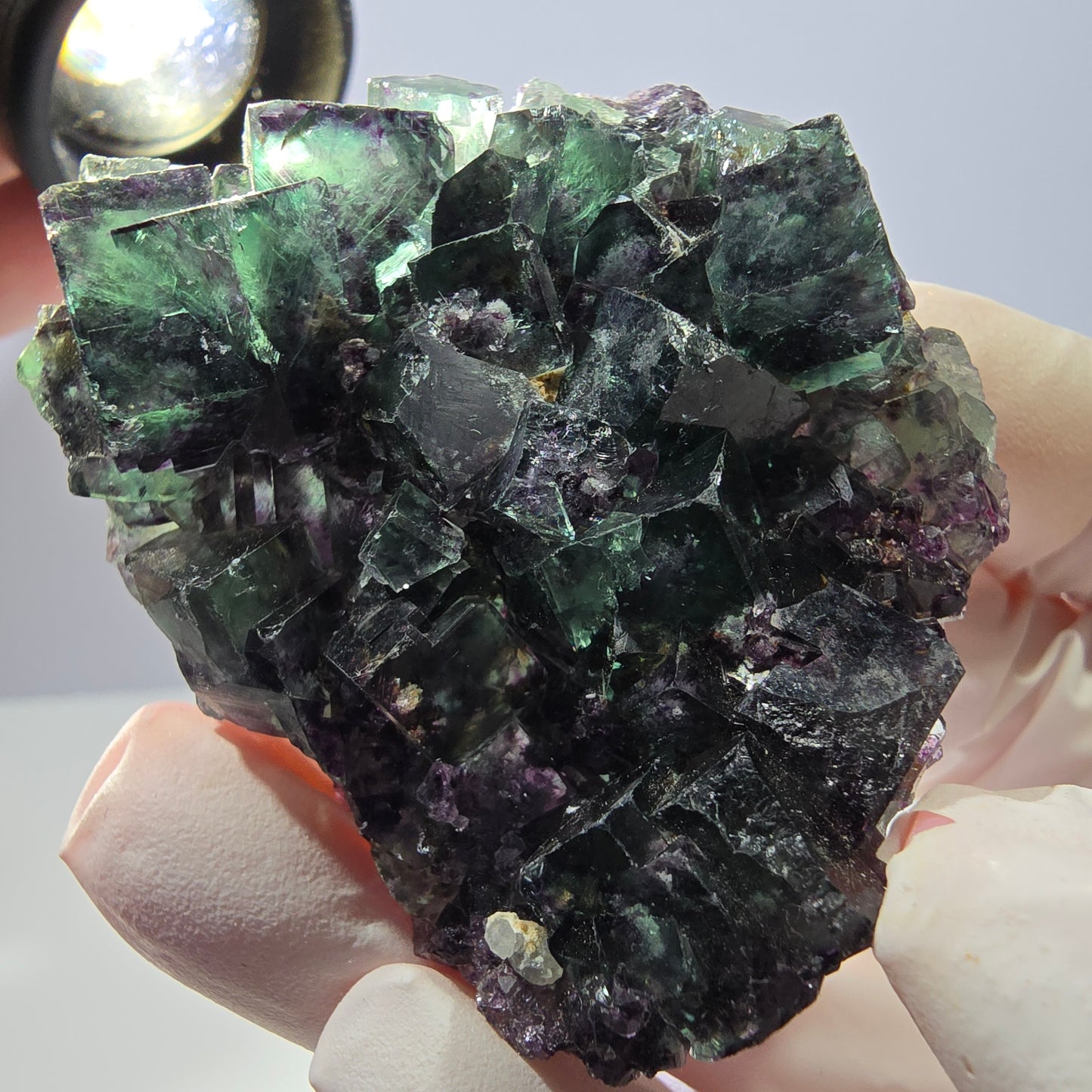 Spécimen de cube de fluorite fantôme parqueté vert violet Okorusu, Namibie 52*42*16 mm