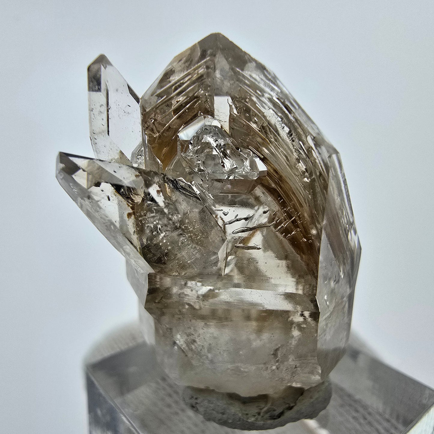 Klare Phantom Rauchquarz Fenster DT Zepter Stufe Goboboseb, Namibia 36*27*22mm
