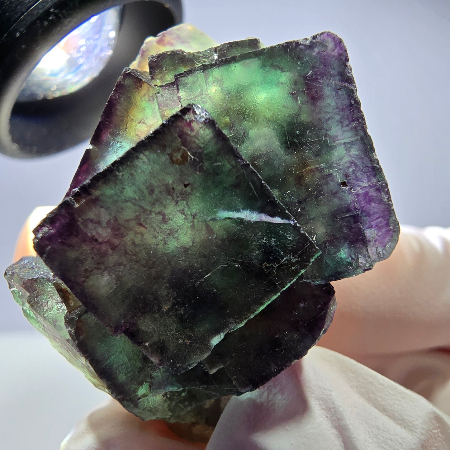 Spécimen de cube de fluorite fantôme parqueté vert violet Okorusu, Namibie 40*36*26 mm