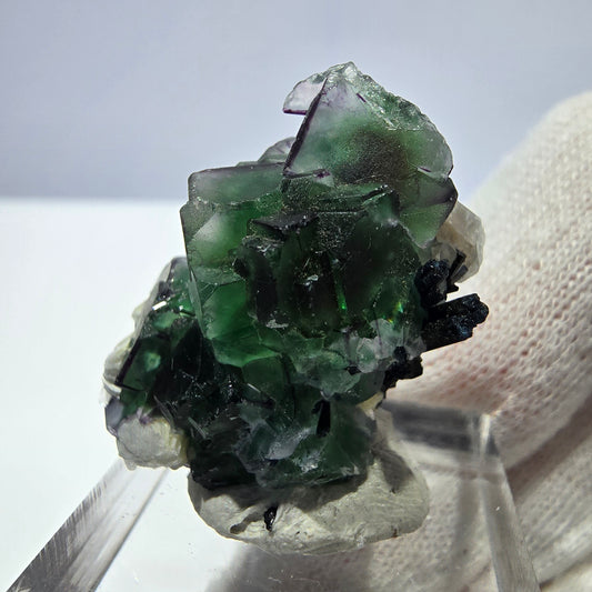 Fluorite fantôme zonale, muscovite, tourmaline Schörl, quartz fumé Erongo, Namibie 31*18*13mm