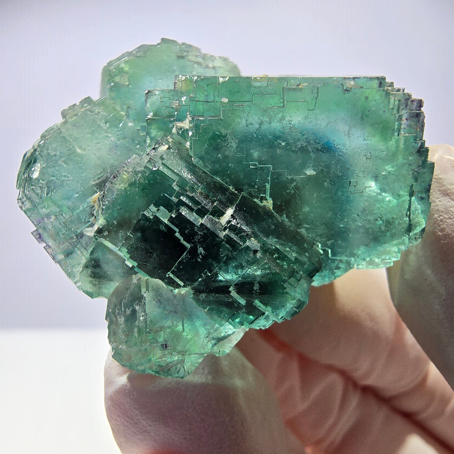 Spécimen de cube de fluorite fantôme transparente, vert parqueté, Okorusu, Namibie, 43 x 37 x 24 mm