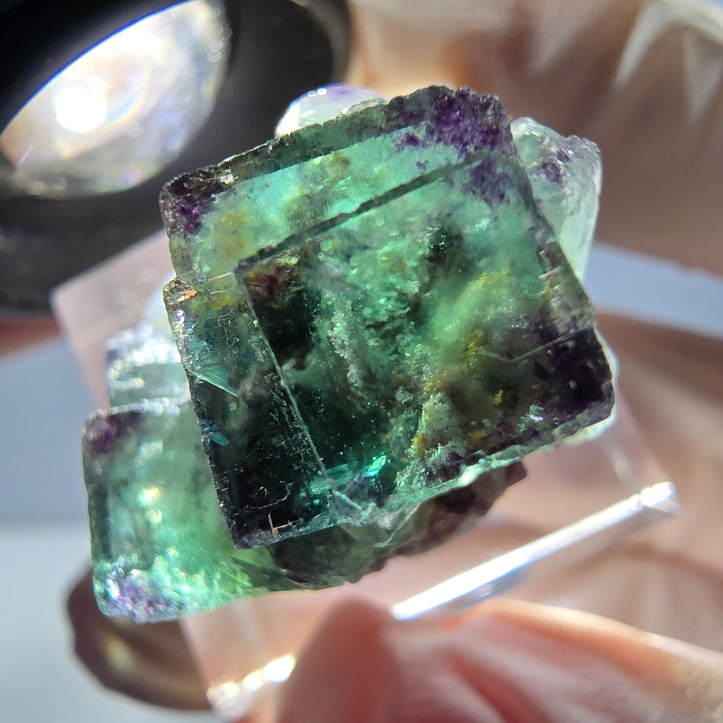 Spécimen de cube de fluorite fantôme, parqueté vert violet Okorusu, Namibie 31*25*18 mm