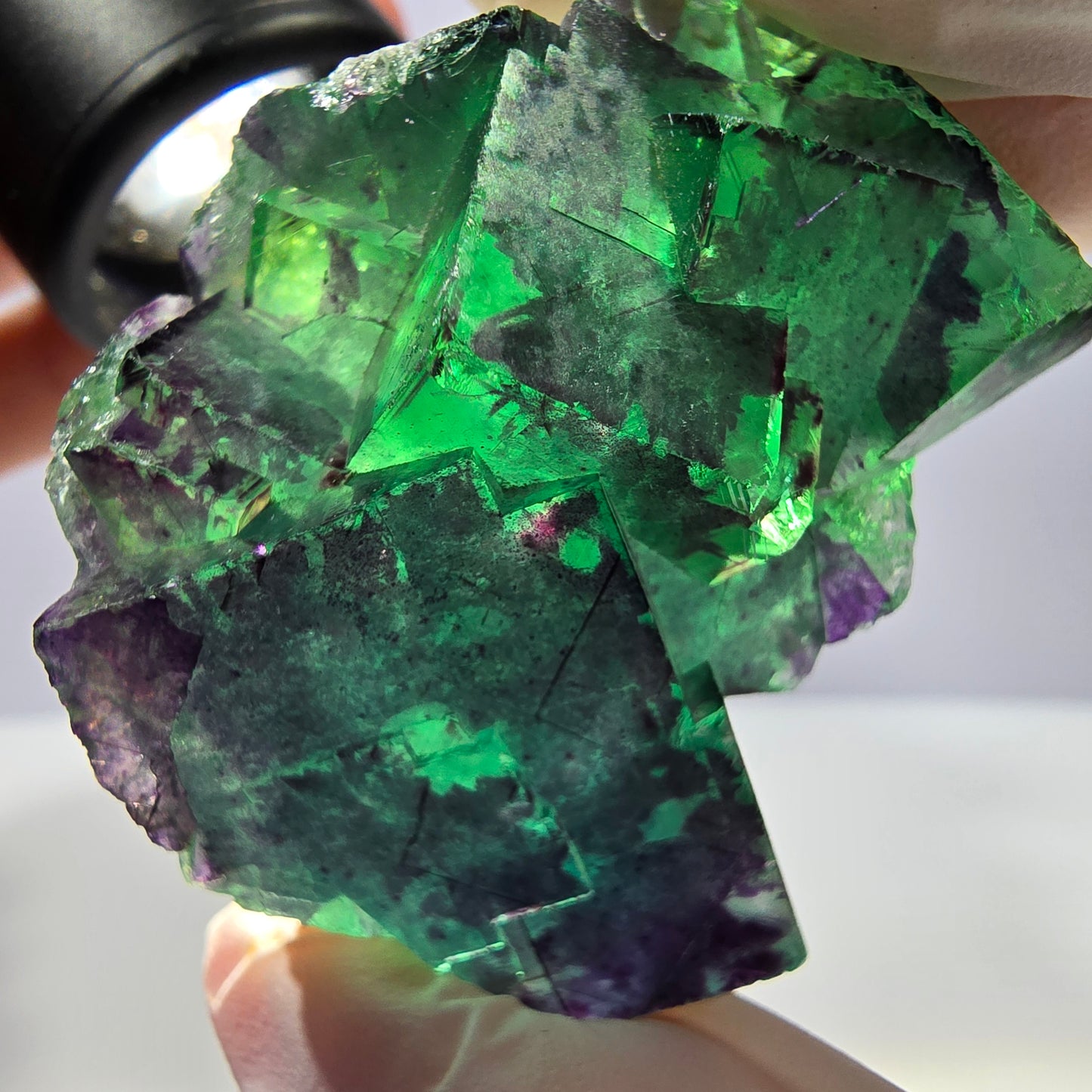 Spécimen de cube de fluorite fantôme parqueté vert violet Okorusu, Namibie 49*41*29mm